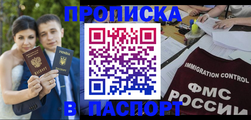 прописка иностранных граждан в Камышине